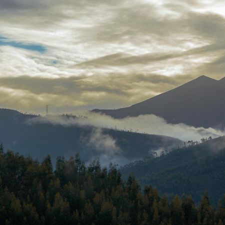 Вілла O Pardieiro - Casas Da Paradinha Екстер'єр фото